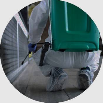 ウイルス衛生対策