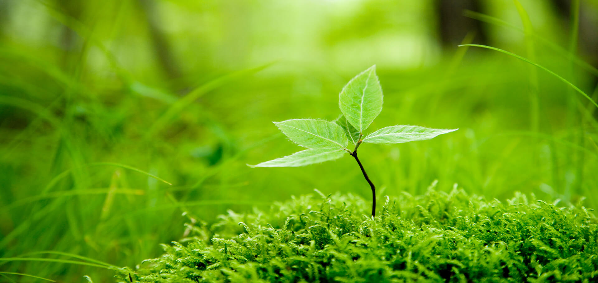 ビル、工場、商業施設の空調設備工事、修理のことなら株式会社日本エアリアにお任せください。